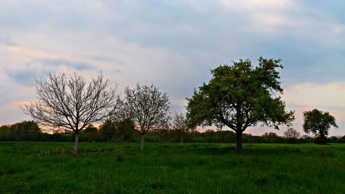 landscape spring nature