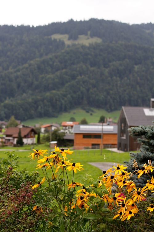 landscape mountains austria