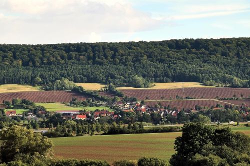 landscape fields forest