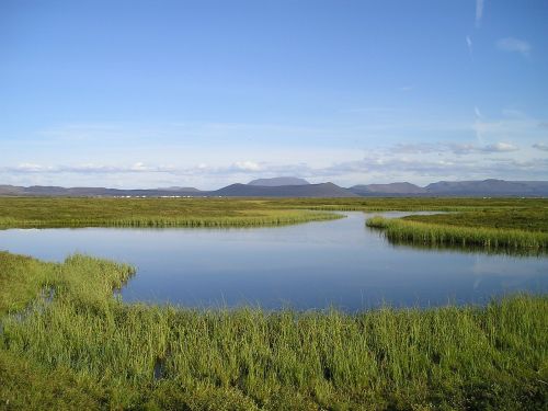 landscape reflection mirroring