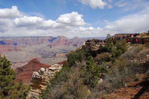 landscape grandcanyon usa