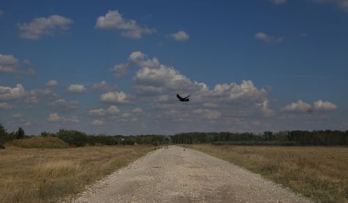 landscape road cloud