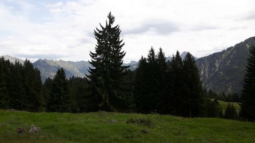 landscape allgäu mountains