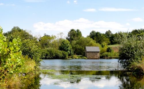 landscape pond rural