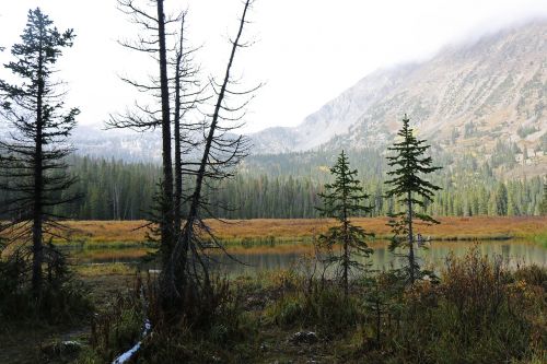 landscape misty autumn