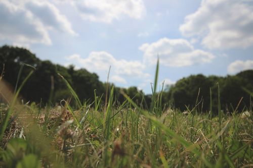 landscape panorama nature