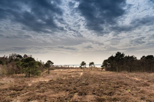 landscape steinhuder sea moor