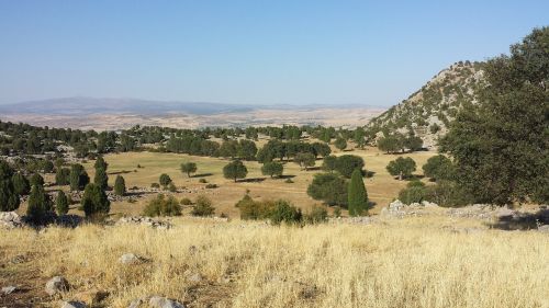 landscape rock turkey