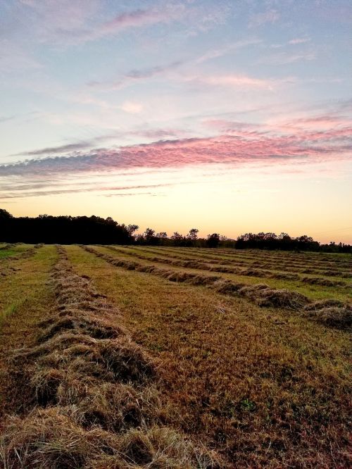 landscape nature sky