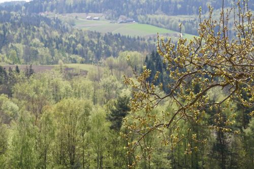 landscape view nature