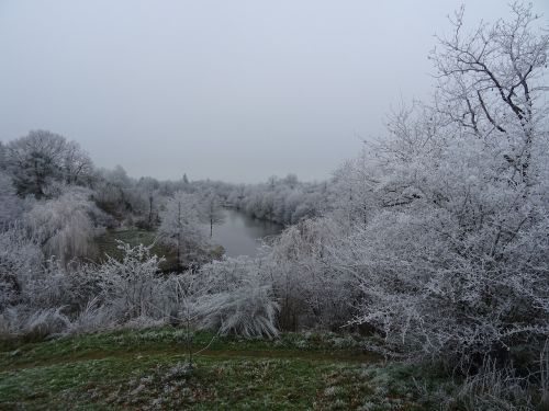 landscape snow trees