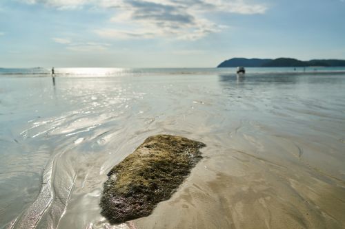 landscape marine stone