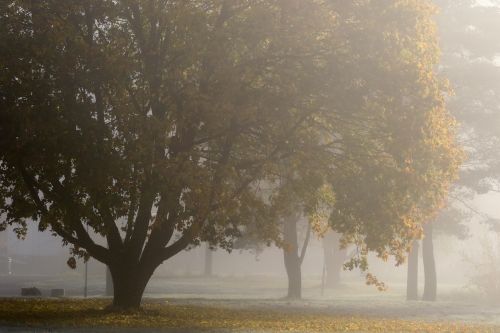 landscape autumn fall