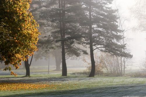 landscape autumn fall