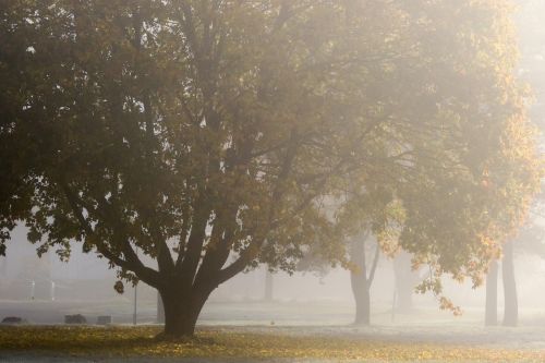 landscape autumn fall