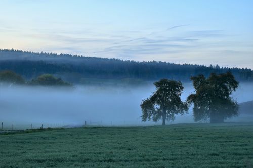 landscape fog morning