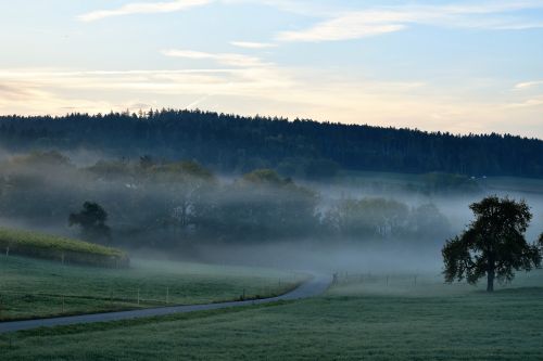 landscape fog morning