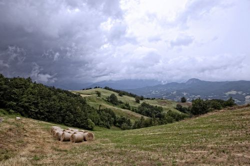 landscape bales hay