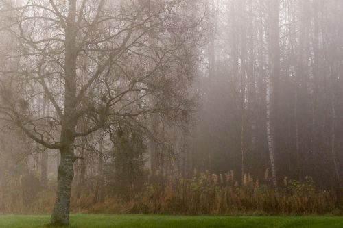 landscape autumn landscape nature