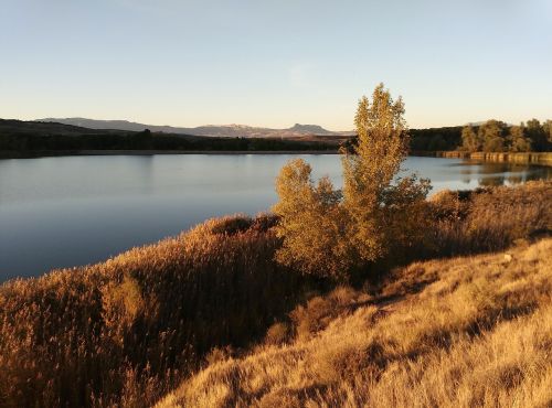 landscape lake nature