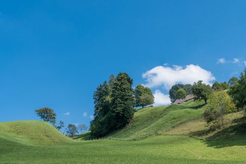 landscape green nature