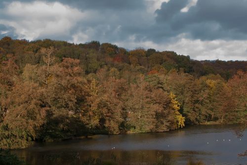 landscape park fall