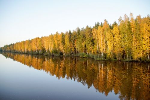 landscape trees autumn