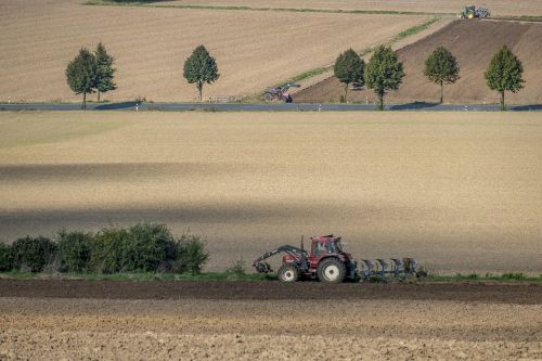 landscape field nature