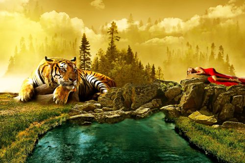 landscape tiger animal