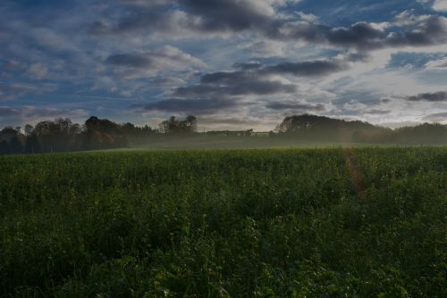 landscape nature fall