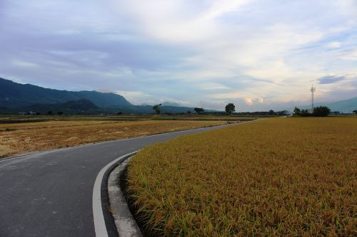 landscape road field