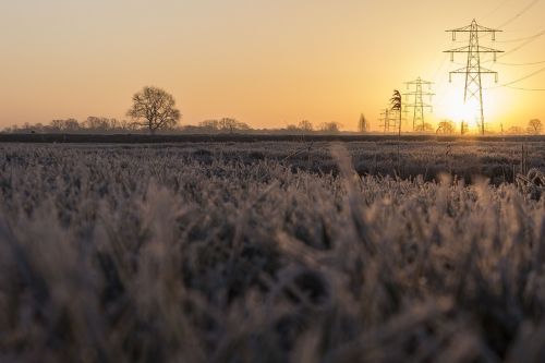 landscape nature field