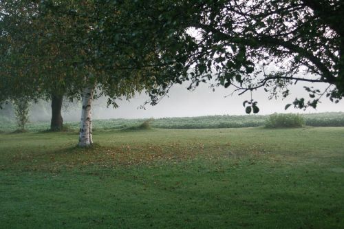 landscape background lawn