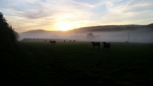 landscape sunset dawn