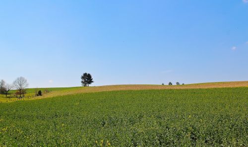 landscape nature field