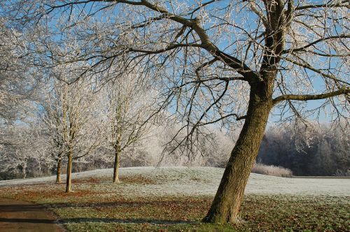 landscape wood season