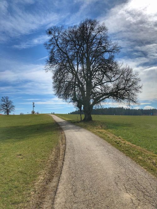 landscape road nature