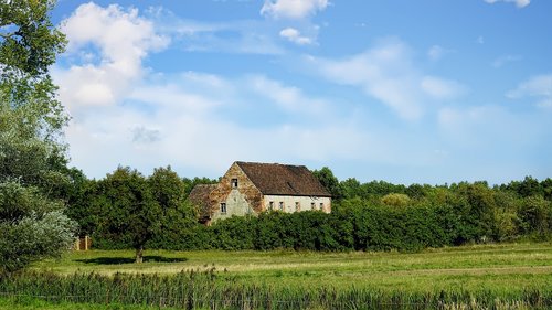 landscape  nature  summer