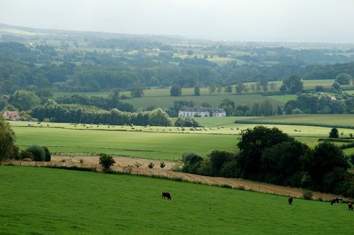 landscape  field  nature