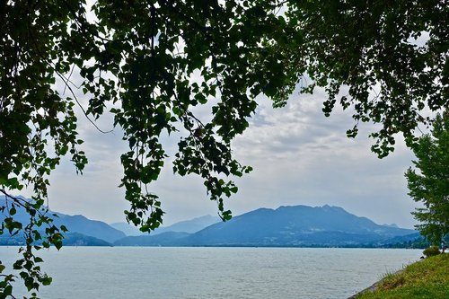 landscape  water  tree