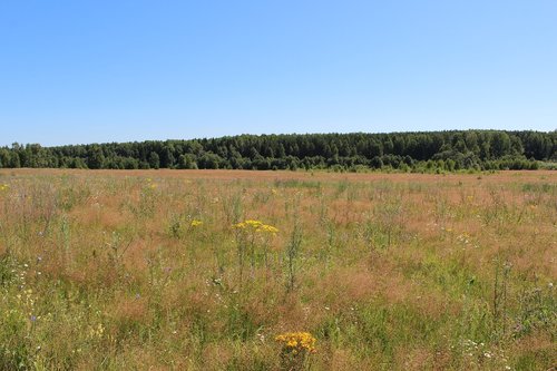 landscape  nature  panoramic