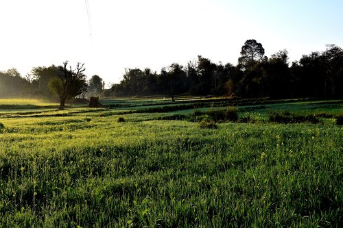 landscape  field  panoramic