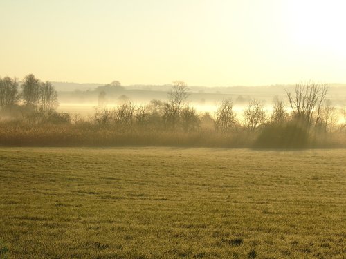 landscape  nature  fog