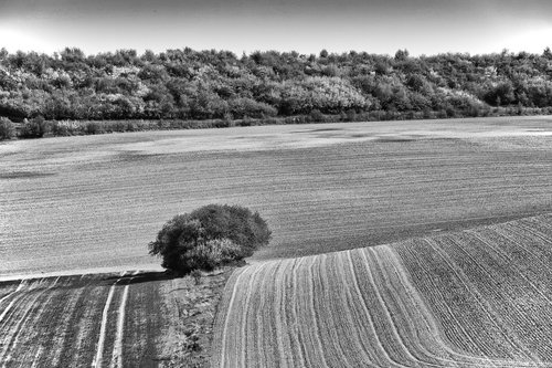 landscape  nature  black and white