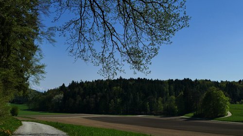 landscape  nature  trees