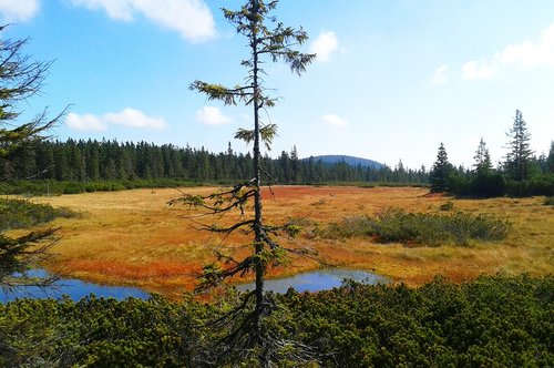 landscape  slap  czechia