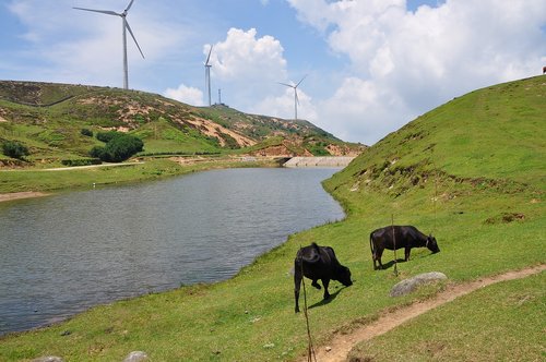 landscape  water  farm