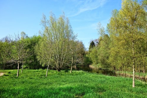 landscape  field  trees