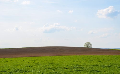 landscape  panorama  field