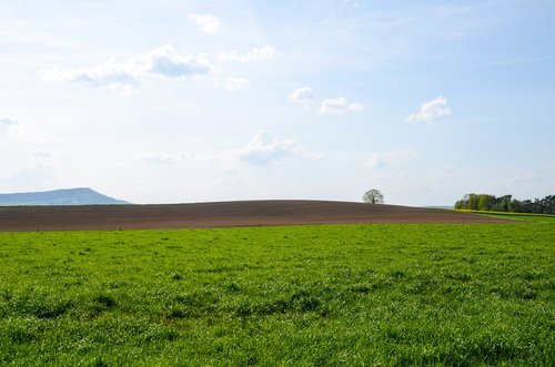 landscape  panorama  field